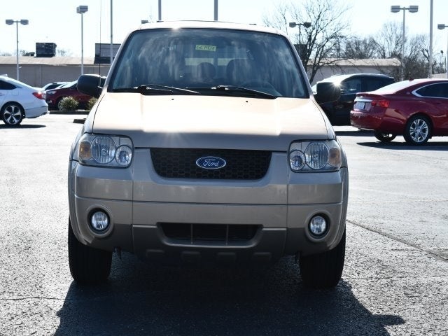 Used 2007 Ford Escape Limited with VIN 1FMYU04107KA67847 for sale in Louisville, KY